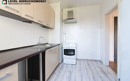 Kawalerka z widokiem na park