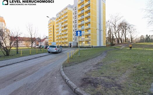 Kawalerka z widokiem na park