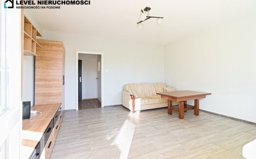 Kawalerka z widokiem na park