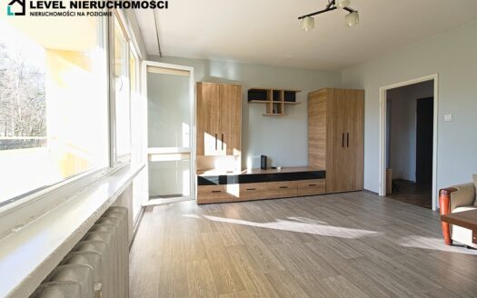 Kawalerka z widokiem na park