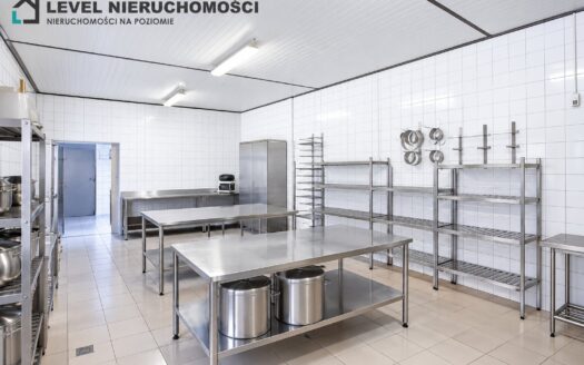 Lokal produkcyjno – handlowy w mieście