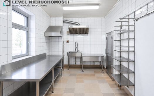 Lokal produkcyjno – handlowy w mieście