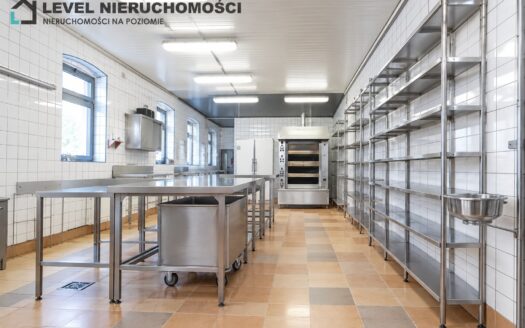 Lokal produkcyjno – handlowy w mieście