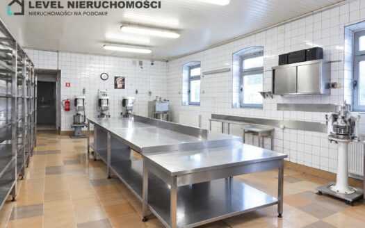Lokal produkcyjno – handlowy w mieście