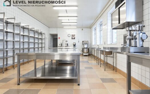 Lokal produkcyjno – handlowy w mieście